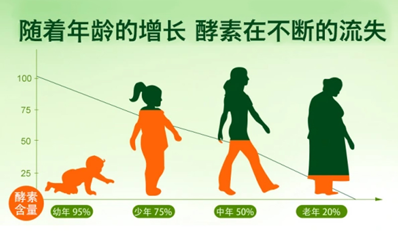 年纪越大酵素流失越多，酵素流失的原因有哪些？
